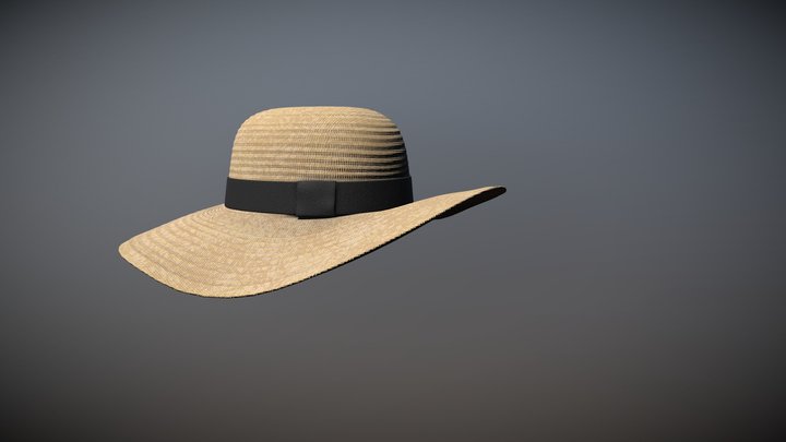 Hat2 3D Model