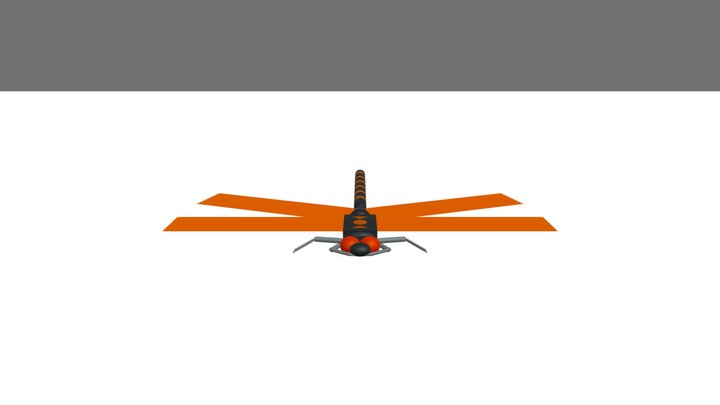 Dragonfly Model 3D Model