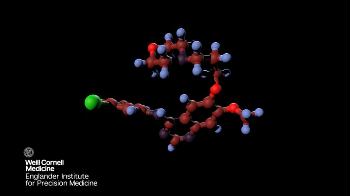 Small Molecule | Gefitinib | PubChem CID 123631 3D Model