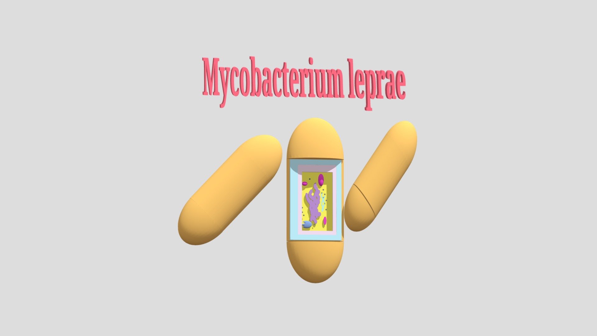 MICROUGHS_ Mycobacterium Leprae_JRP