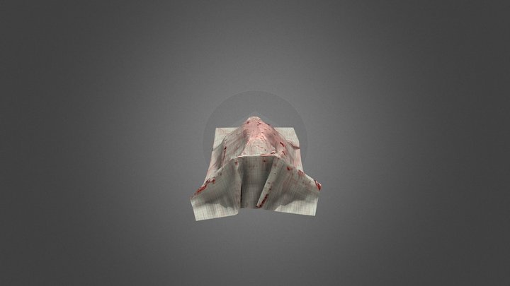 low poly body 3D Model