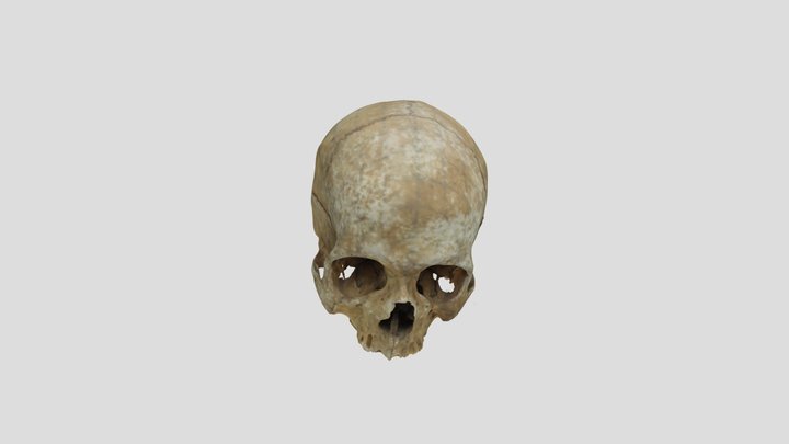 Male 40-56 years old (estimated) 3D Model