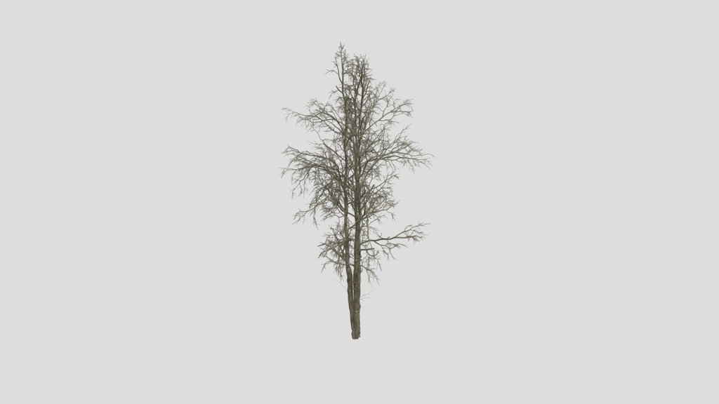Dead Tree V1
