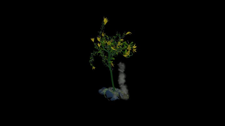 First tree 3D Model