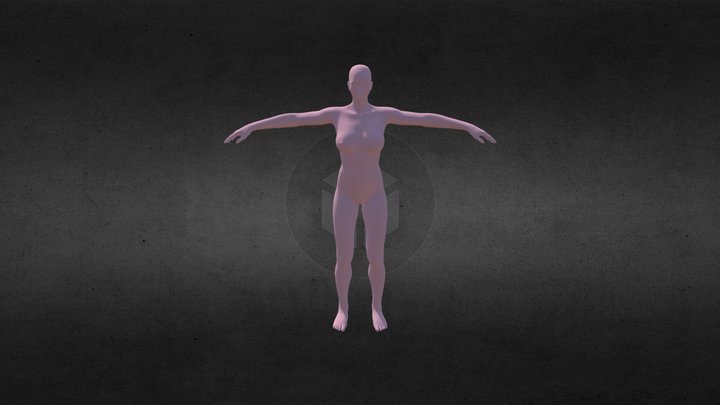 Cuerpo Humano 3D Model