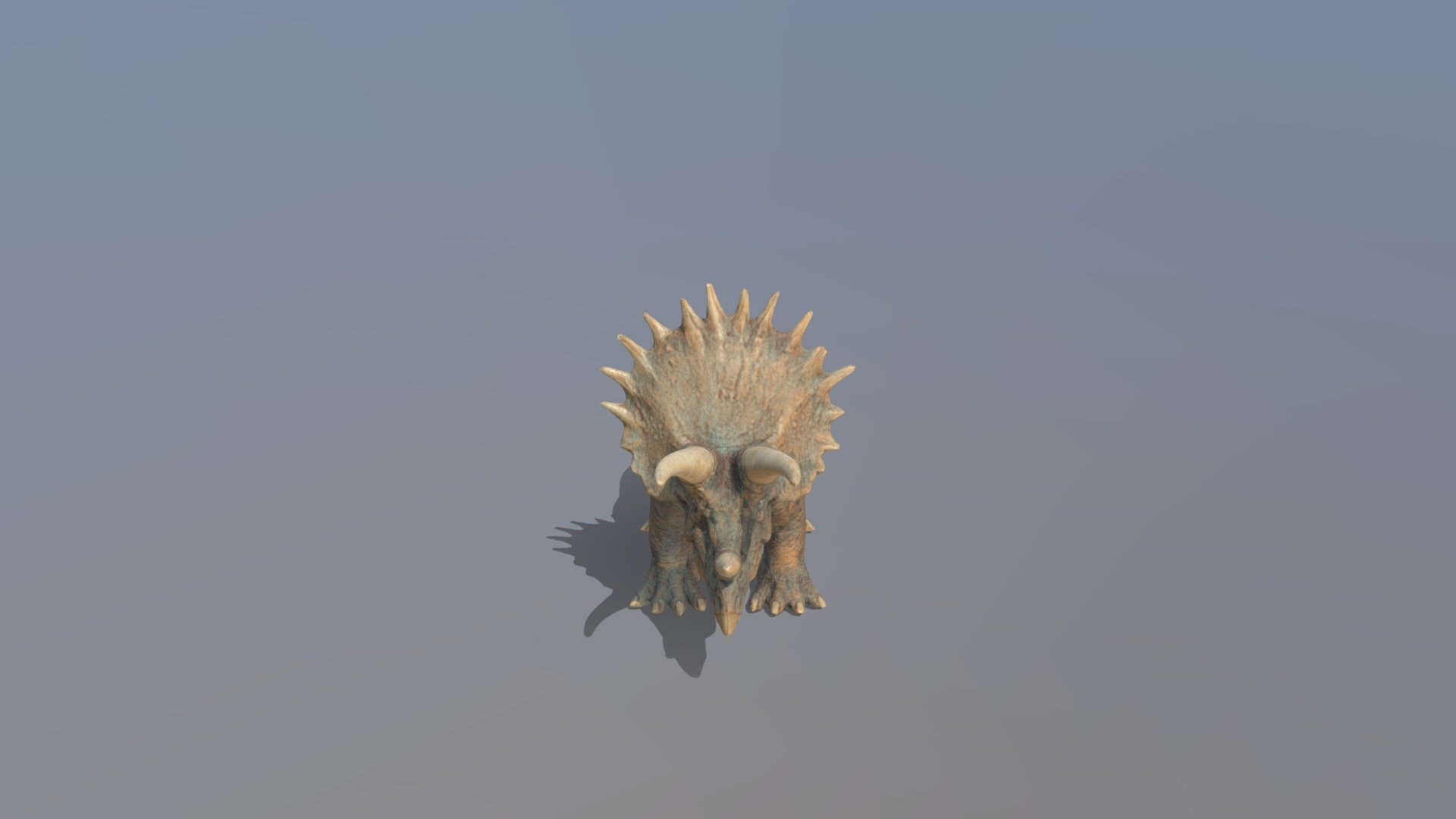 Triceratops