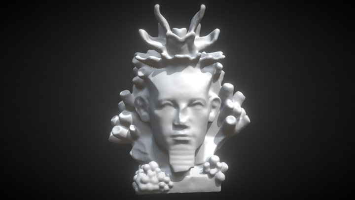 Coral effect example 3D Model