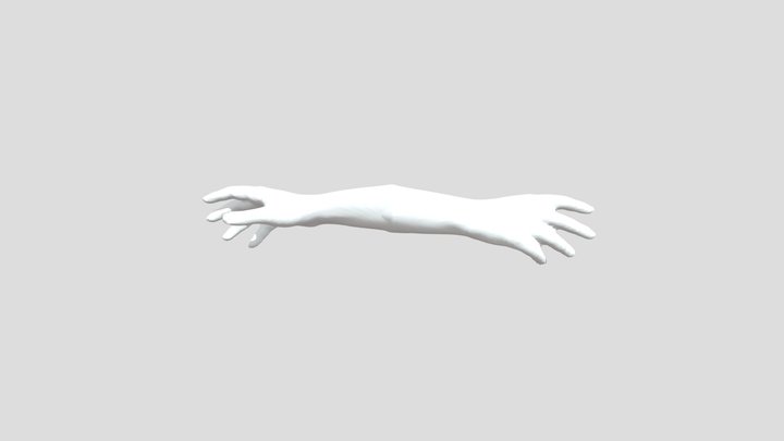 Heand 3D Model