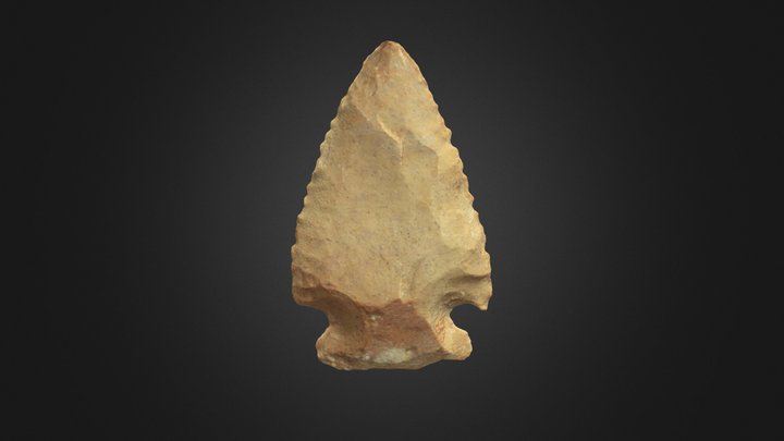Williams Lithic Point 3D Model