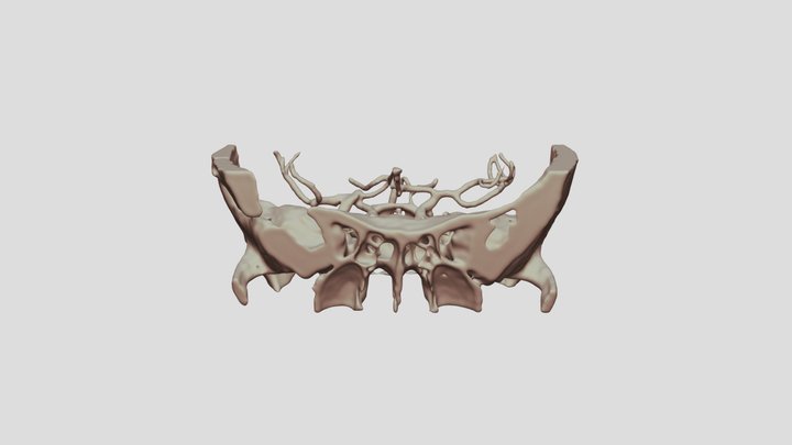 VXSF 3D Model