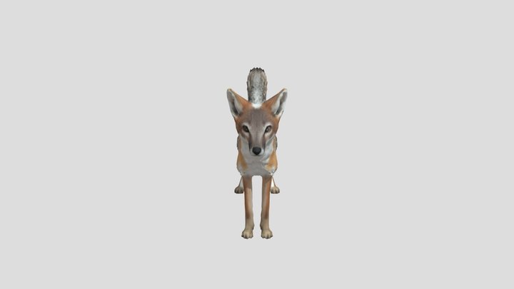 Swift Fox