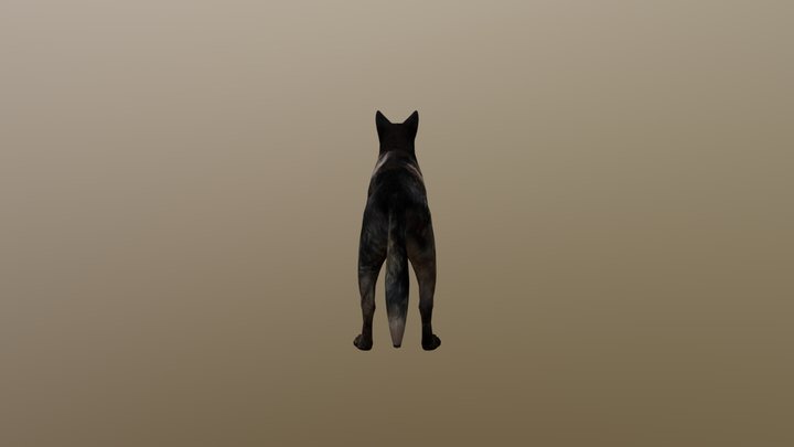 MTF P-1 Dog 3D Model