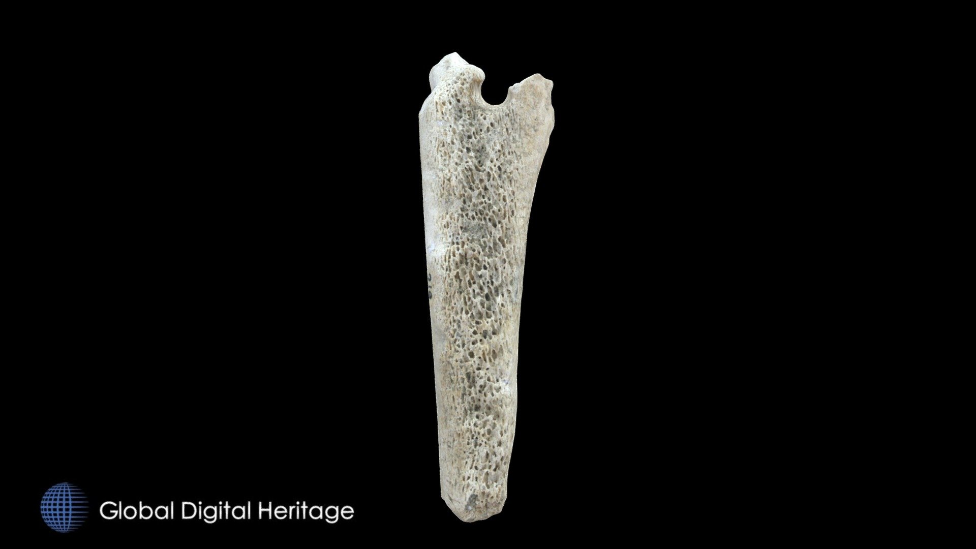 HL-219 Bone Tool Fragment