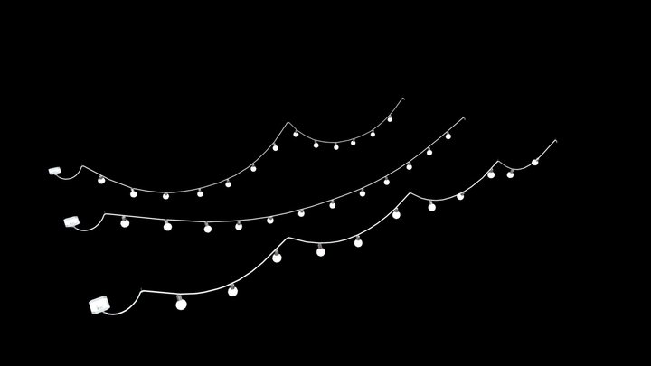 Fairy Lights 3D Model