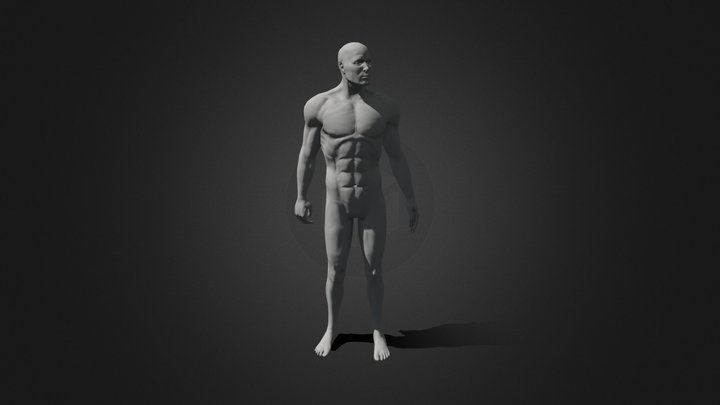 Male Body - Portfolio 5 3D Model