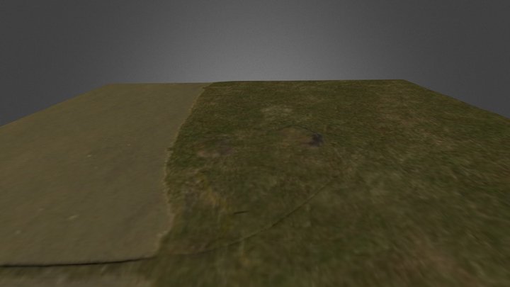 SwanLake.zip 3D Model