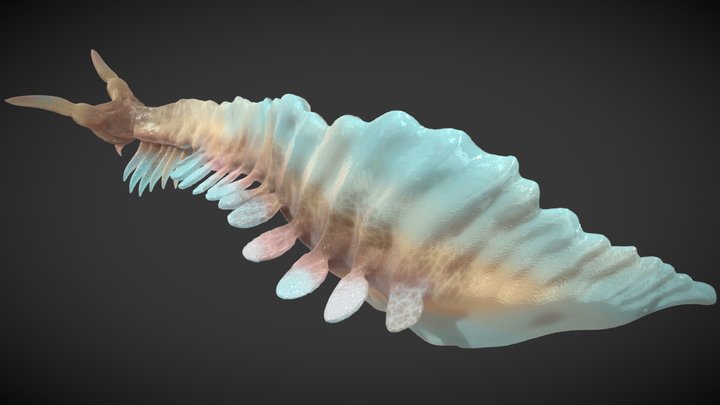 Cambrian Creatures Pikaia gracilens 3D Model