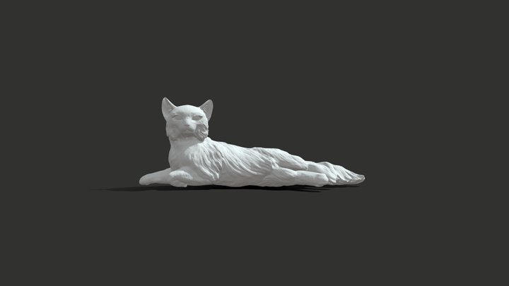 Kočka 3D Model