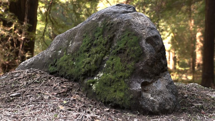 Rock Mossy C 3D Model