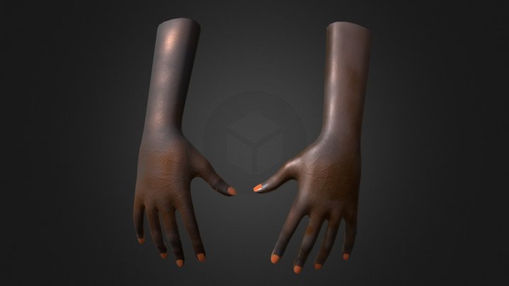 Hands 3D Model