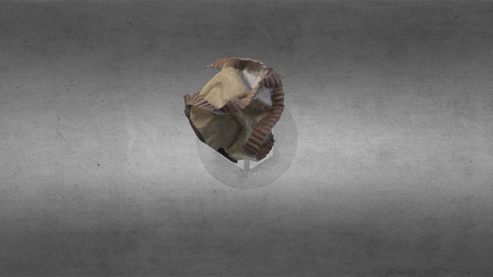 Savon 3D Model
