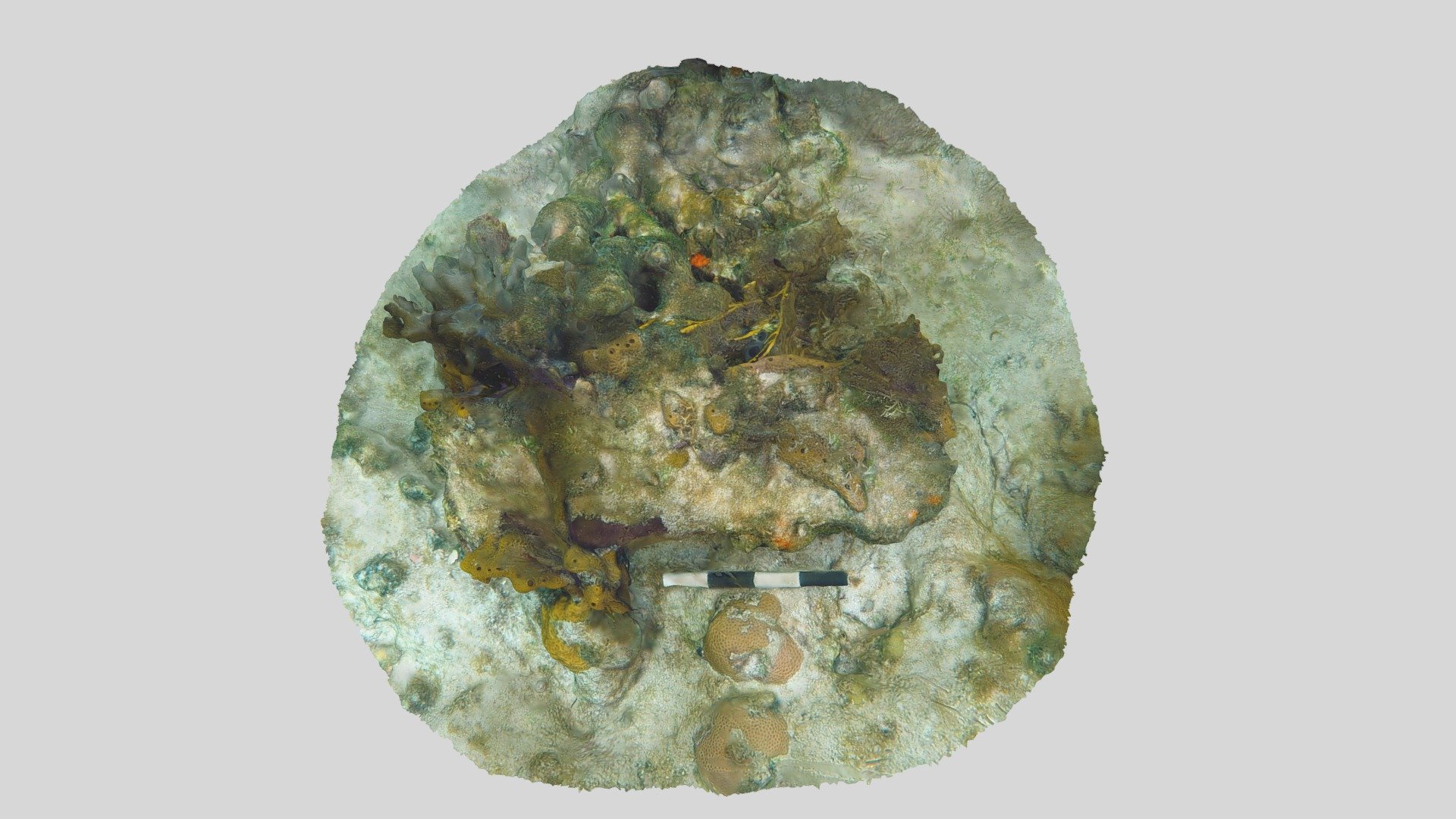 Nimble Small Ballast Ingot No.2 (2019)