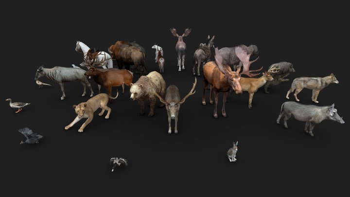 ULTIMATE 3D ANIMAL PACK (Free Download)
