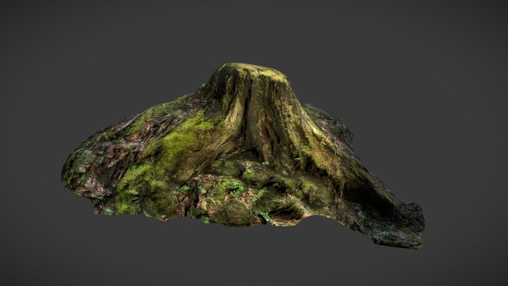 Tree Log and Rocks Photogrammetry 3D Model