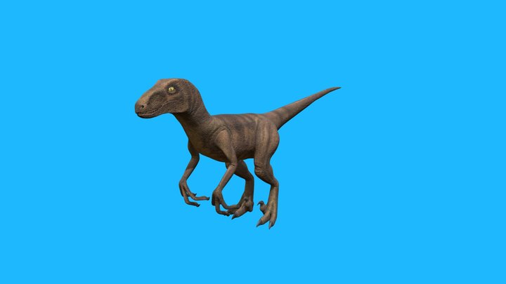 Velociraptor Rebuilt – Modelo 3D gratuito STL
