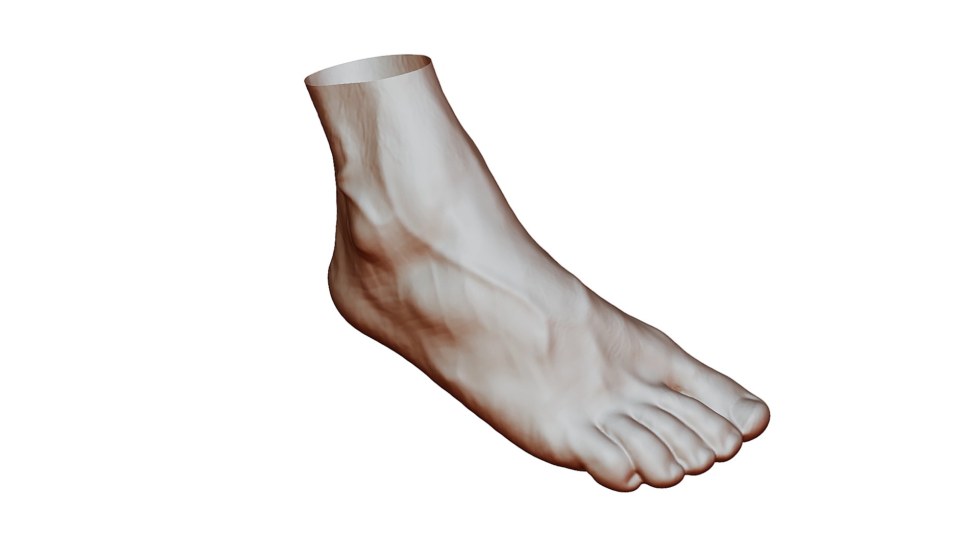 3D model Foot Scanned - This is a 3D model of the Foot Scanned. The 3D model is about a close-up of a foot.