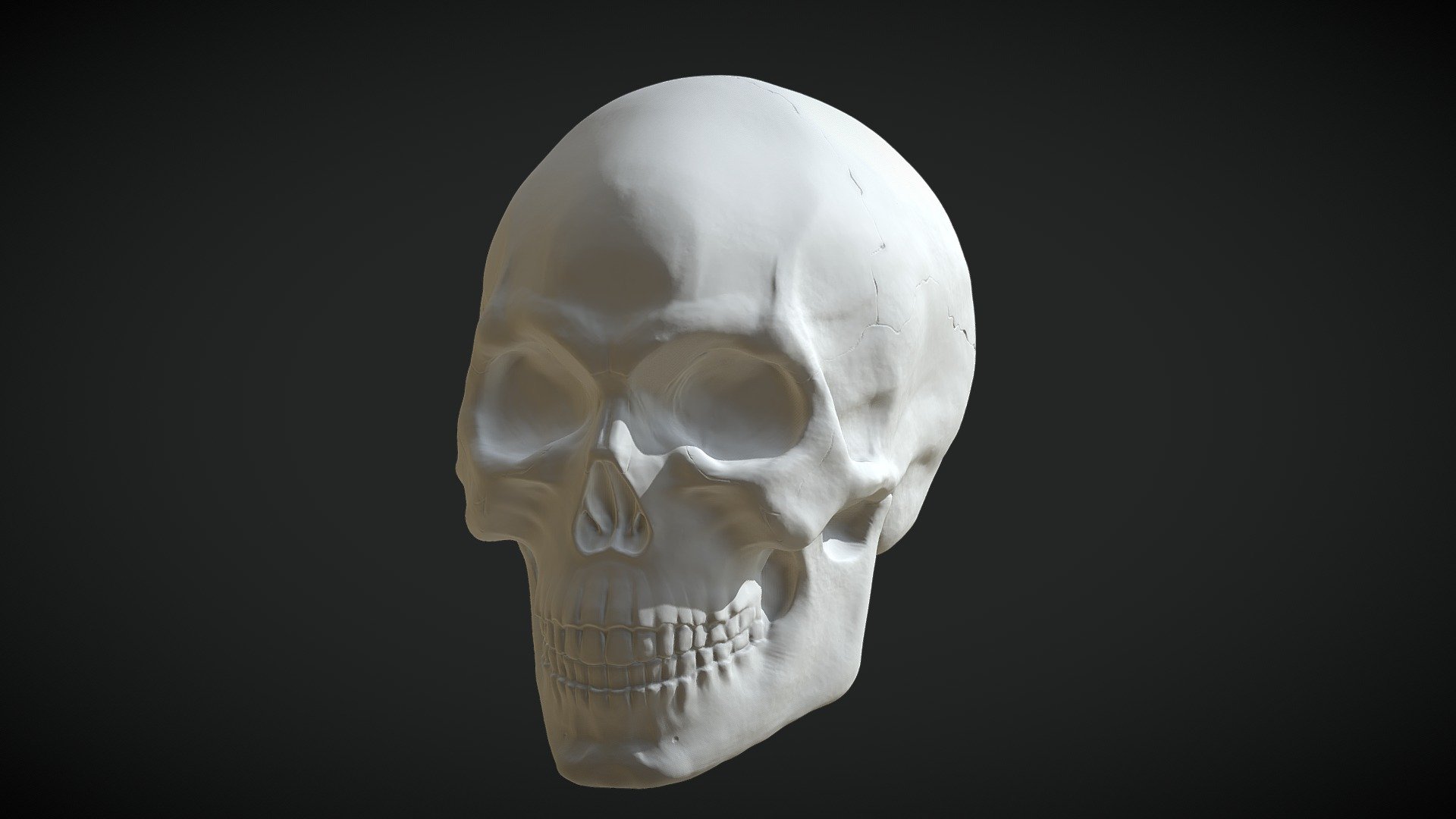 Human skull