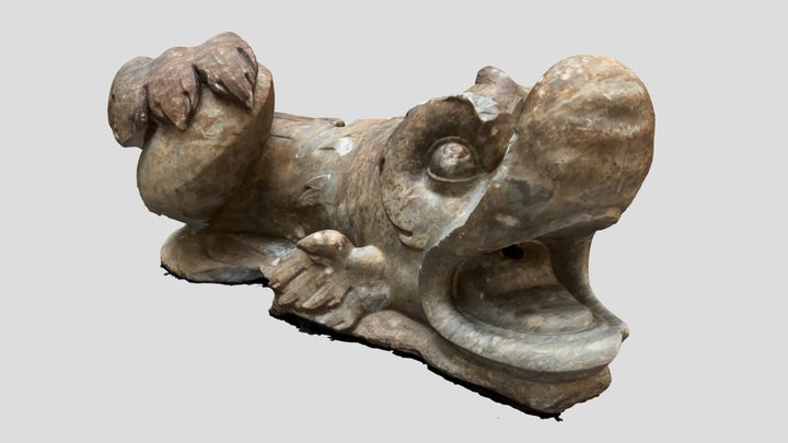 Dolphin 3D Model