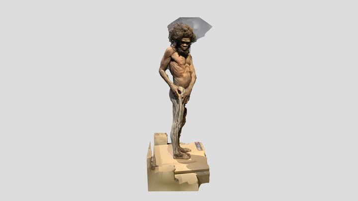 Scan 2022-12-20T13:06:27.631Z 3D Model