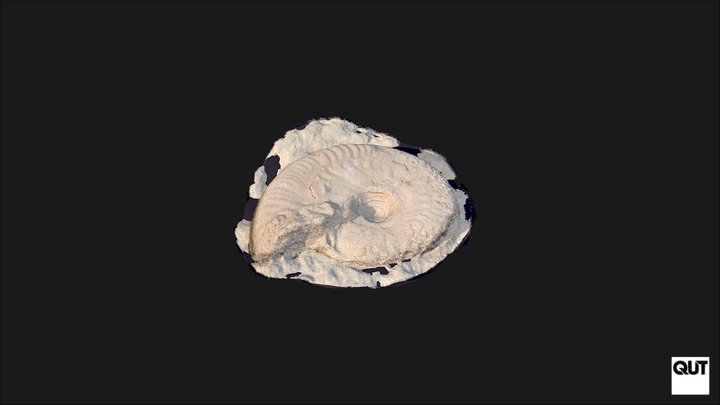 ERB102 Depositional Environments Specimen 17 3D Model