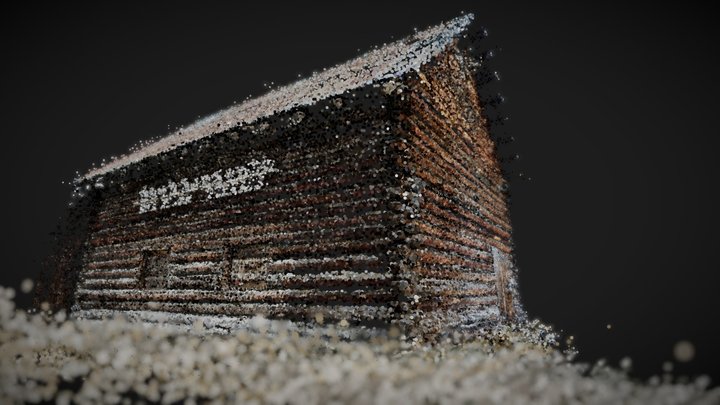 Idaho Red River Homestead Pointcloud 3D Model