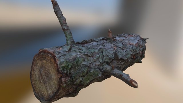 Woodpile 1 3D Model