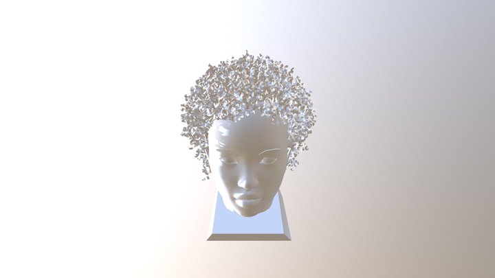 Head curly hair 19042018 3D Model
