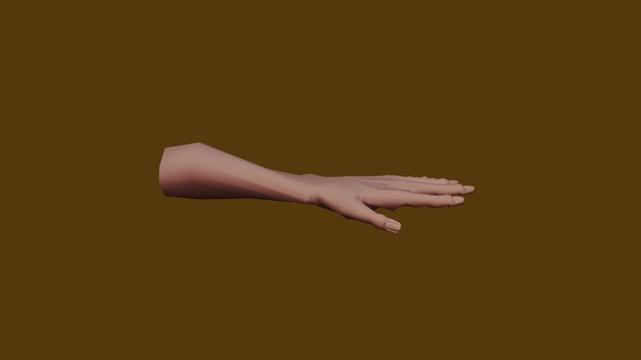 Hand 01 3D Model