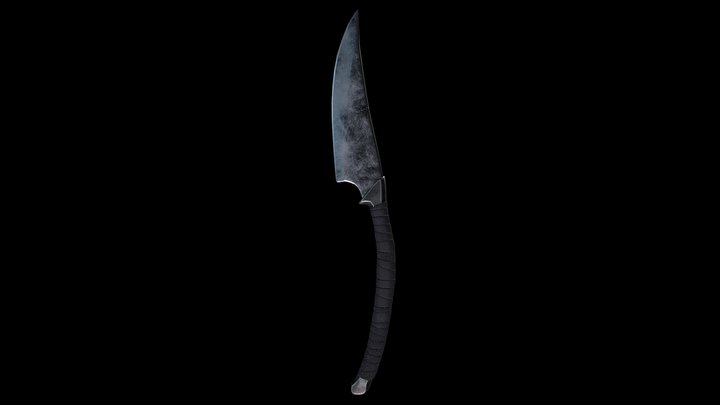 Common blade 3D Model