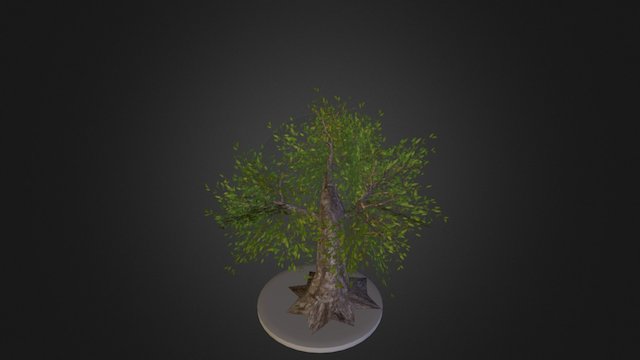 Banyan Tree 3D Model