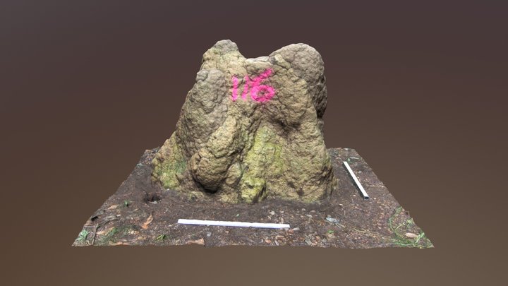 Termite mound Tp9-2016 3D Model