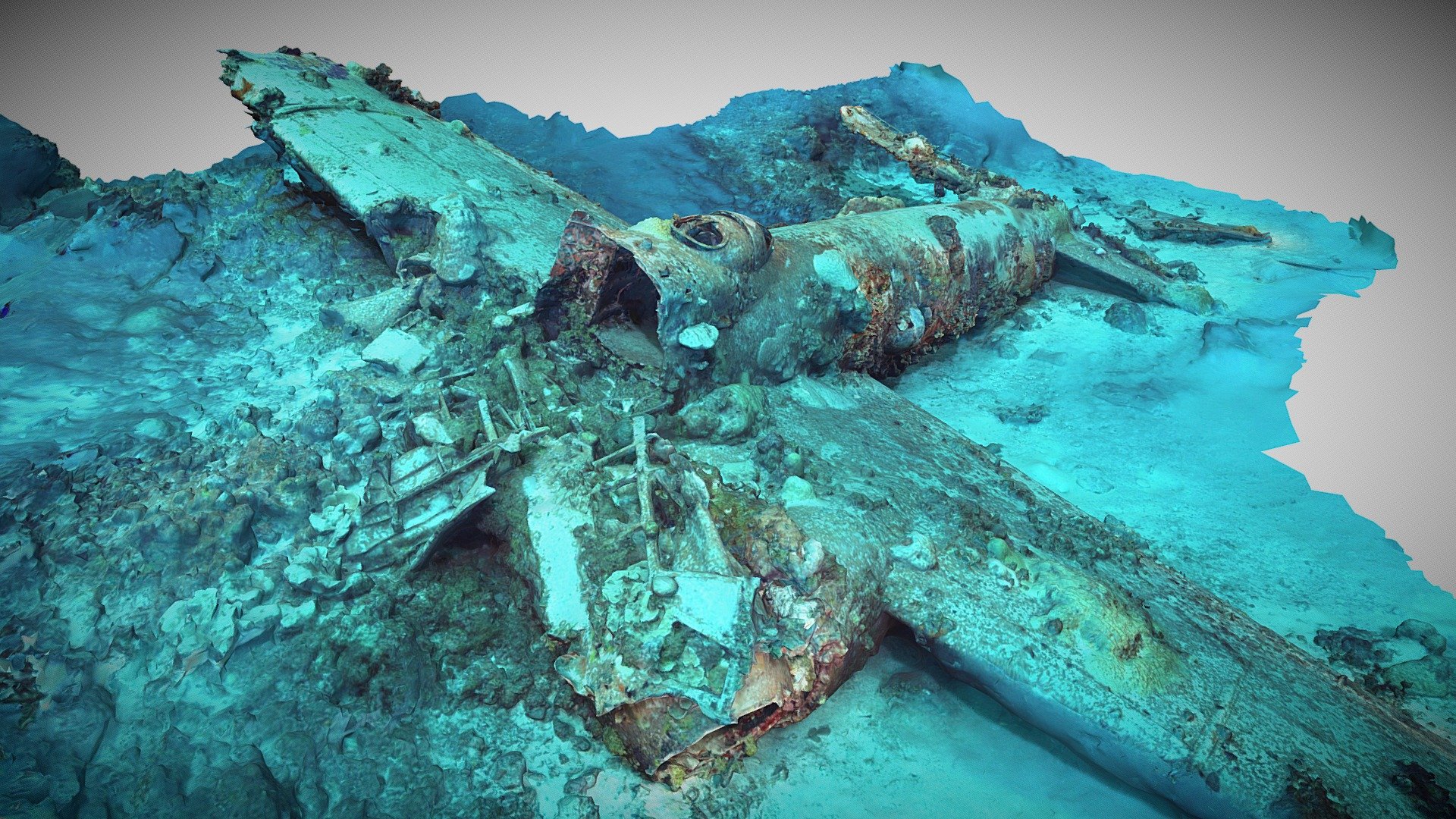 トラック諸島に沈む艦船で眠る「海没遺骨」、帰還待つ英霊【動画・3D