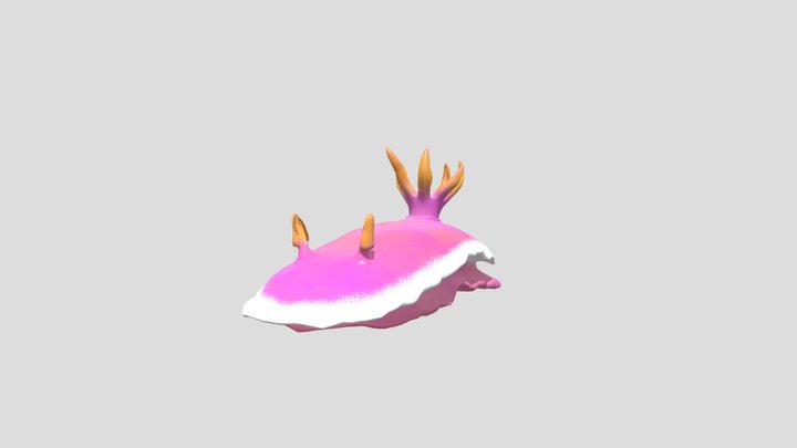 Sea Slug 3D Model