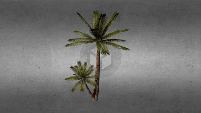 Palm V2 3D Model
