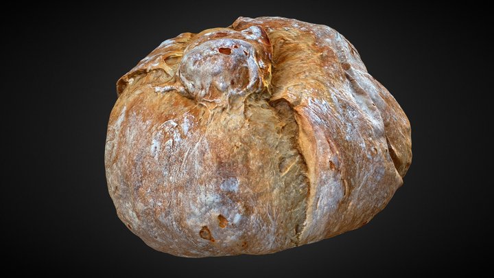 Bread_test_retopology 3D Model