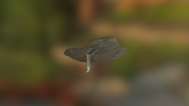Model (1) 3D Model