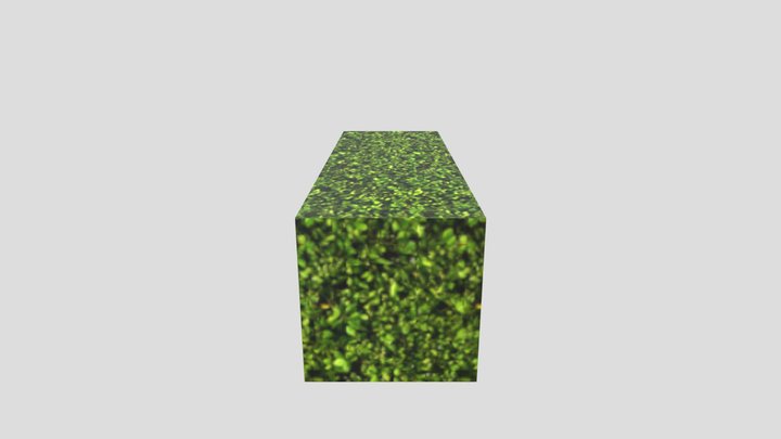 Arbusto 3D Model