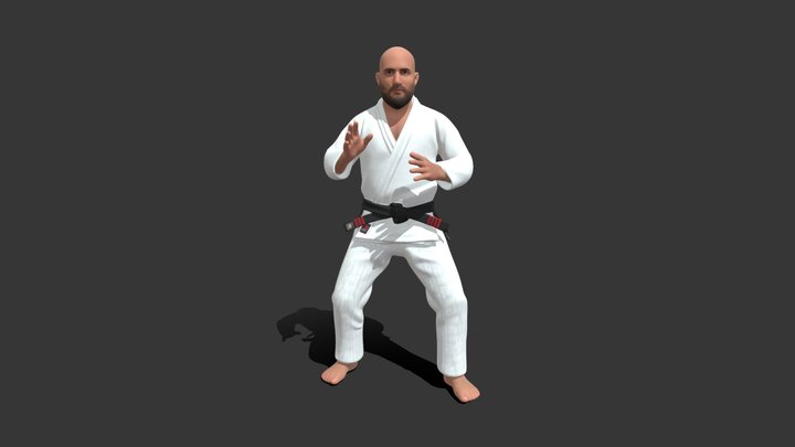 Brazilian Jiu-Jitsu Black Belt Fighter Free