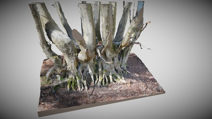 WOODBANK 1 RC WESTERHAM KENT 3D Model