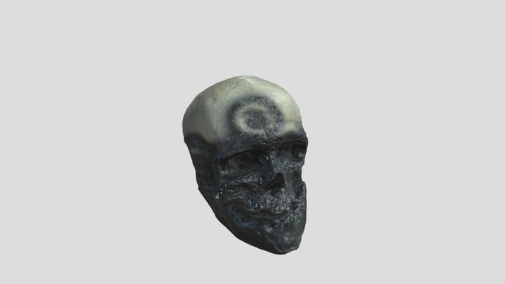 Homo sapiens : Cro-Magnon 3D Model